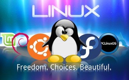 Бесплатная альтернатива Windows: плюсы и минусы ОС Linux