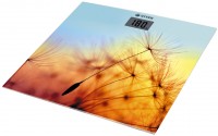 Фото - Ваги Vitek VT-8057