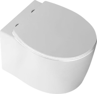 Photos - Toilet HANS 5510