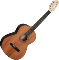 Фото - Гитара Ortega R16PC