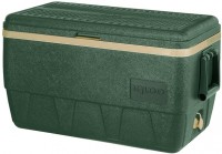 Photos - Cooler Bag Igloo Sportsman 55 