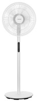 Photos - Fan RAVEN EWS007