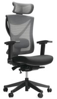 Photos - Computer Chair ADAPWORK S1 Senior ErgoChair