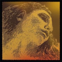 Фото - Струни Pirastro Evah Pirazzi Gold Cello C String Rope Core/Tungsten Mittel