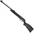 Gamo Black Bear