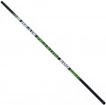 Brain Phantom Pole 500
