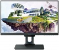 BenQ PD2500Q 25 "  gray