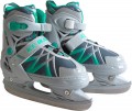 Ice Blade Wild