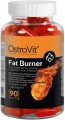 OstroVit Fat Burner 90 tab 90 шт.