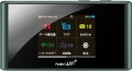 ZTE 305ZT