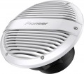Pioneer TS-ME100WC