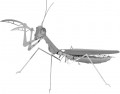 Fascinations Mantis MMS069