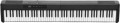 Musicality CP88