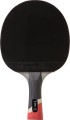 Stiga Pro Carbon