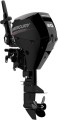 Mercury FM20 EFI