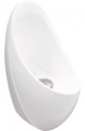 Ifo Cero D41250